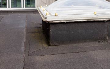 disadvantages of Henlle flat roofs